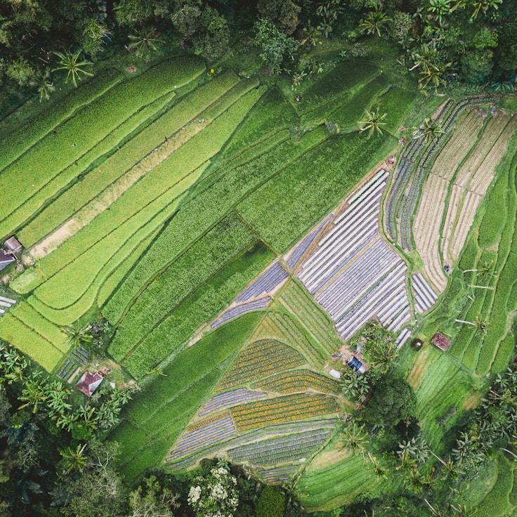 Entertainment zone at night in Canada